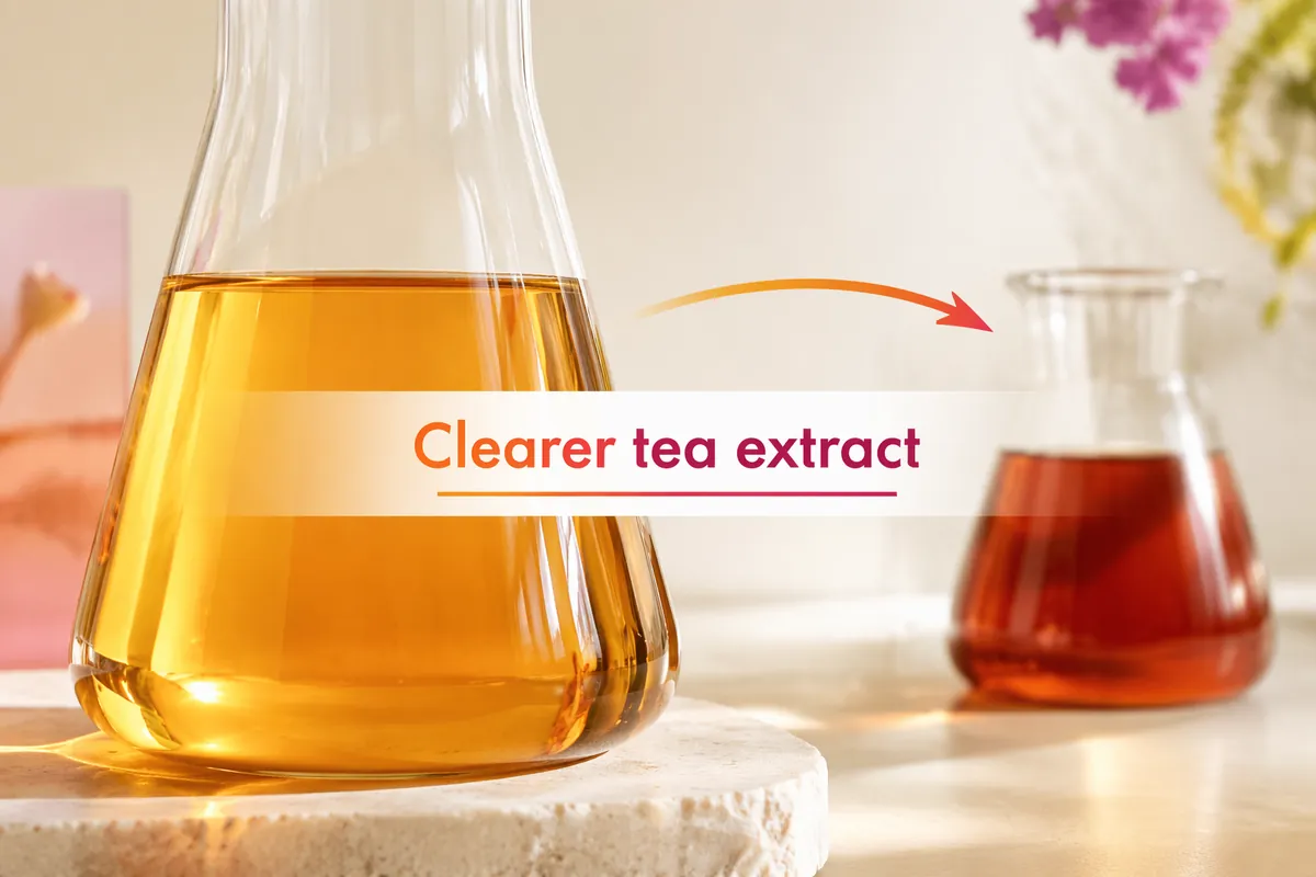 Two flasks of tea extract side by side, a clearer amber liquor in front and a darker liquor behind